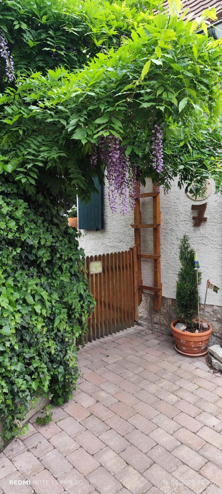 אוקסנפורט Ferienwohnung Geiernest מראה חיצוני תמונה